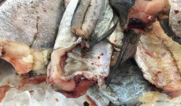 咸魚吃瓜年代文,年代文中的市井百態(tài)與情感糾葛