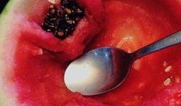 最無(wú)聊的吃瓜,一場(chǎng)毫無(wú)營(yíng)養(yǎng)的八卦盛宴