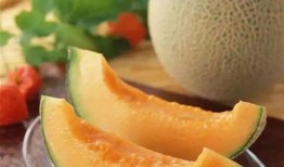 念珠菌可以吃哈密瓜