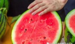 吃瓜水冰月大學