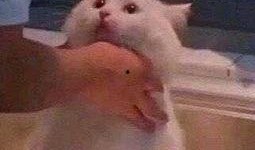 朝陽群眾吃瓜測試,揭秘京城街頭的熱辣八卦