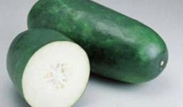 生凍瓜怎么吃,生凍瓜的多樣食用方法與美味探索