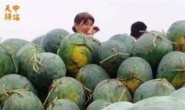 介休吃瓜現(xiàn)場視頻