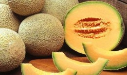 石頭人吃哈密瓜,邂逅哈密瓜的甜蜜之旅