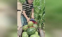 吃瓜視頻偷西瓜,吃瓜視頻里的西瓜誘惑