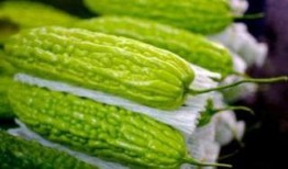 孕婦吃丑瓜,丑瓜的營養秘密與孕婦食譜推薦