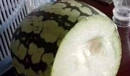 吃瓜趣事圖片,笑料百出，生活瞬間