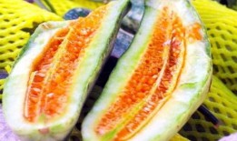 吃瓜云瓜,探尋夏日消暑新潮流