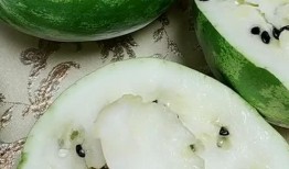 我吃瓜子皮音吃瓜蛋,揭秘“吃瓜蛋”的獨(dú)特魅力