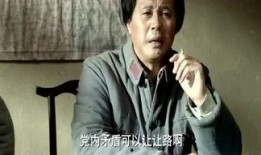 愛歷史的吃瓜群眾,愛歷史吃瓜群眾的趣味解讀