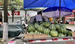 成都直播吃瓜,一場美食與娛樂的盛宴