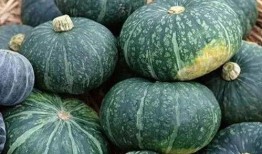 大栗子吃瓜,揭秘瓜界奇聞軼事