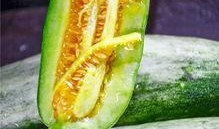 羊角蜜吃瓜視頻,揭秘網紅美食背后的甜蜜誘惑