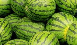 半夜吃梨瓜,揭秘午夜美食新寵