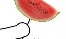 文明吃瓜圖片,品味生活，共享歡樂時光