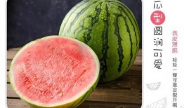 優(yōu)雅多才的吃瓜,揭秘娛樂圈幕后故事