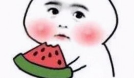 全網吃瓜小靜仔,揭秘娛樂圈幕后故事，帶你領略明星真實生活