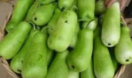 葫蘆瓜能自己吃嗎怎么吃,葫蘆瓜的食用方法與美味佳肴