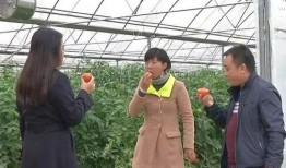 吃瓜群眾圍觀打小三,小三風(fēng)波引發(fā)全民熱議