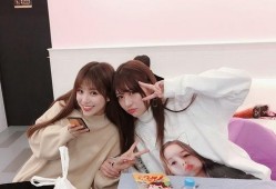 教科書吃瓜小組,揭秘校園里的趣味學習生活