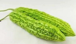 100個吃瓜,揭秘100種瓜果的奇妙世界