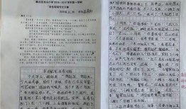 吃瓜風(fēng)波作文四年級,一場四年級的誤會(huì)大揭秘