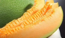 吃蜜瓜的照片,夏日甜蜜時(shí)光的定格