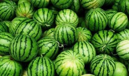 入伏吃瓜,傳統(tǒng)習俗中的“入伏吃瓜”趣談