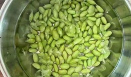 豆吃瓜,揭秘豆類與瓜類食材的奇妙搭配與營(yíng)養(yǎng)奧秘