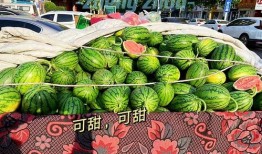 當下吃瓜,最新吃瓜大事件，帶你領略明星幕后風云