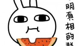 抄作業帶你吃瓜,揭秘校園里的那些“瓜”