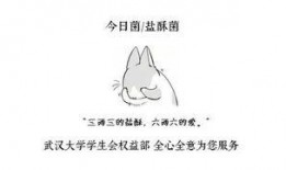 男生說吃瓜嗎傻瓜吃嗎