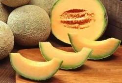 寒體質(zhì)差可以吃哈密瓜嗎