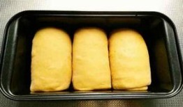 老玉瓜怎么吃,解鎖美味新體驗