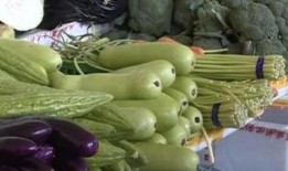 雞瓜不能和什么吃,揭秘哪些食材不宜同食