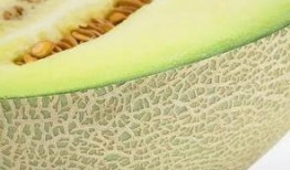 什么瓜吃瓤才好吃,揭秘吃瓤口感佳的秘密
