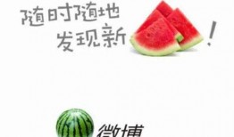 吃瓜肥皂,網絡熱詞背后的文化現象