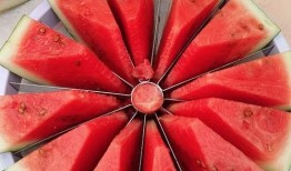 吃瓜大賽視頻全集,全程回顧，笑料百出，年度爆笑盛宴