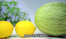 凍哈密瓜吃,凍哈密瓜的清涼誘惑