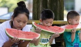 6號棋牌吃瓜,吃瓜群眾揭秘幕后真相
