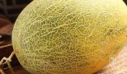 哈密瓜怎么吃能更甜一些,解鎖更甜口感的方法