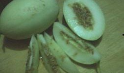 吃瓜趣事圖片,笑料百出，生活瞬間