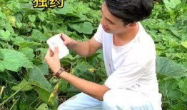 我天天吃瓜種田,樂享田園生活