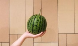 青海甜水井吃瓜,瓜果飄香，夏日避暑勝地探秘