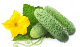 若楠吃瓜系統,網絡輿論場的新寵兒