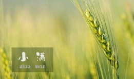 小滿吃瓜最新視頻,揭秘瓜界風云，笑料連連