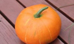 秋天吃勝瓜好嗎,勝瓜美食，健康美味兩不誤