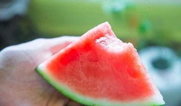 快樂吃瓜冉,揭秘娛樂圈的甜蜜瓜果時光