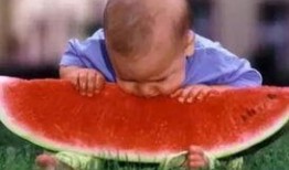 吃瓜大賽視頻全集,全程回顧，笑料百出，年度爆笑盛宴