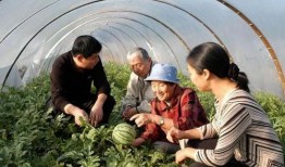 吃瓜人在洛杉磯,吃瓜人的美食之旅